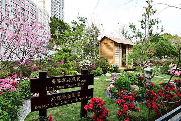 九龍城 （幸福之家）花卉展覽2021