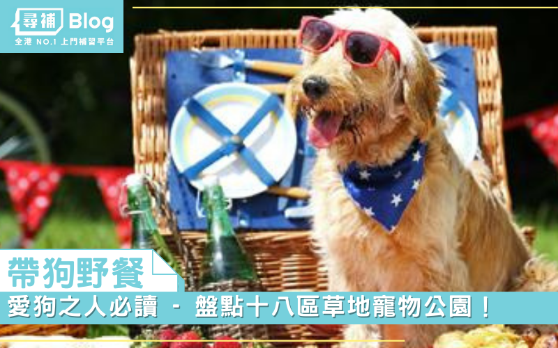 Read more about the article 【帶狗野餐】愛狗之人必讀 – 盤點十八區草地寵物公園！