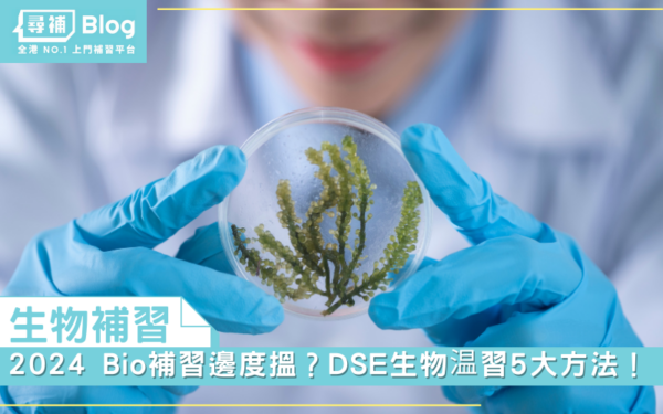 Read more about the article 【生物補習】2024 Bio補習邊度搵？DSE生物温習5大方法！