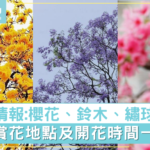 香港賞花2021