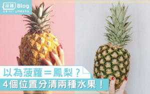 Read more about the article 【菠蘿鳳梨分別】以為菠蘿＝鳳梨？4個位置分清兩種水果！