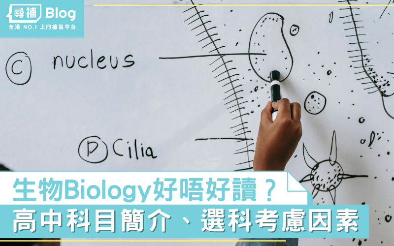 中三選科 高中bio生物好唔好讀 科目簡介 選科考慮因素 尋補 Blog