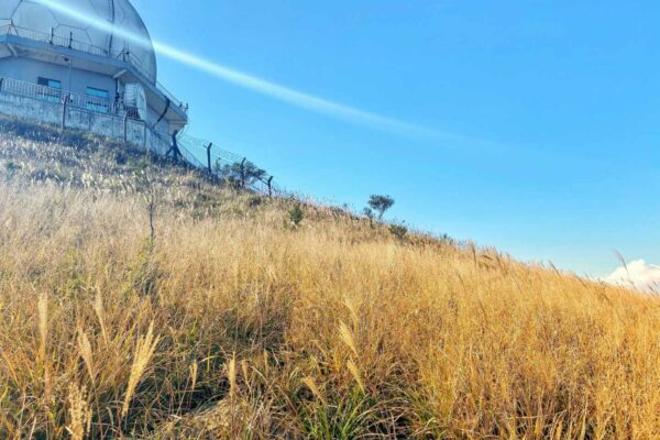 芒草2021-大帽山上的天氣雷達站