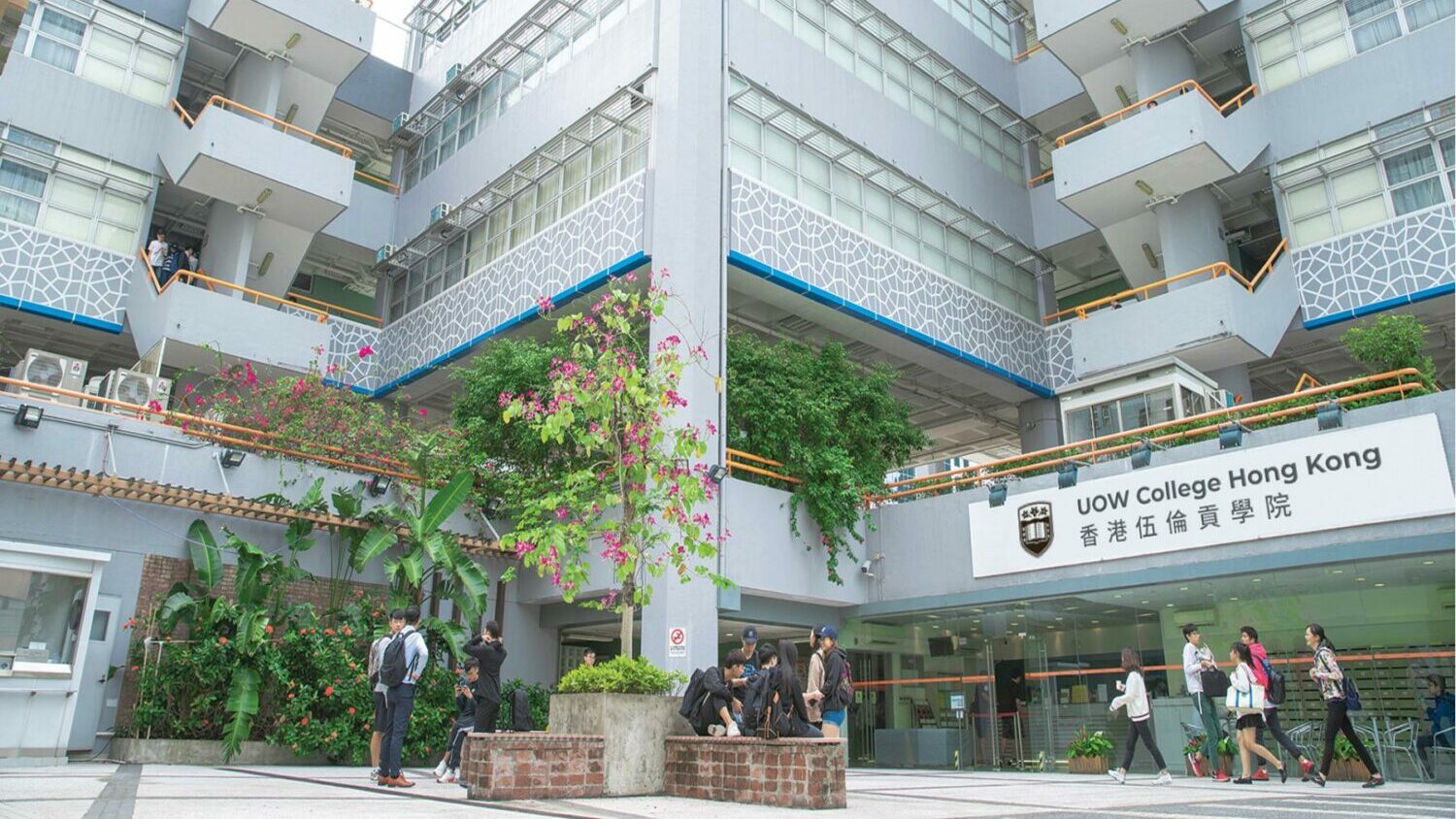 【DSE出路】升學定就業?10大中六畢業出路一覽! DSE出路-中六畢業-香港伍倫貢學院(UOWCHK)