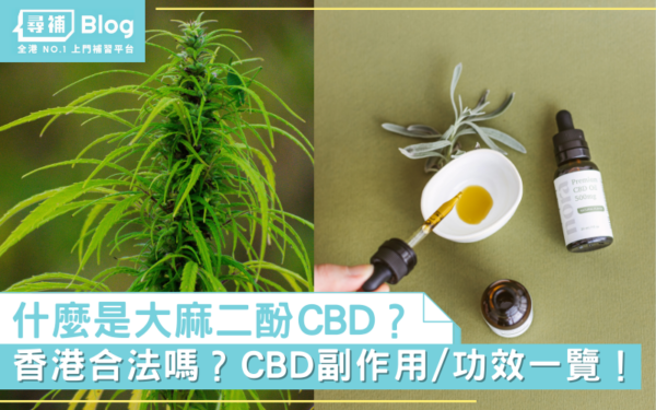 Read more about the article 【大麻二酚CBD】什麼是CBD？香港合法嗎？大麻二酚副作用/功效一覽